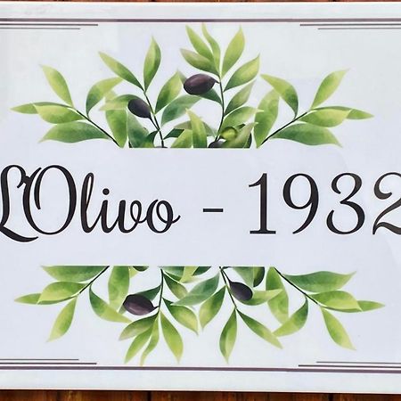 L'Olivo - 1932 Apartment Controguerra Exterior photo